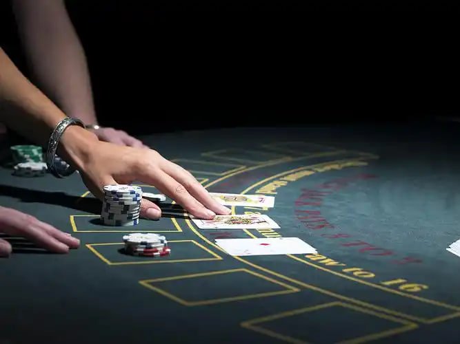 Live casino trực tiếp tối ưu cho người chơi Việt Nam